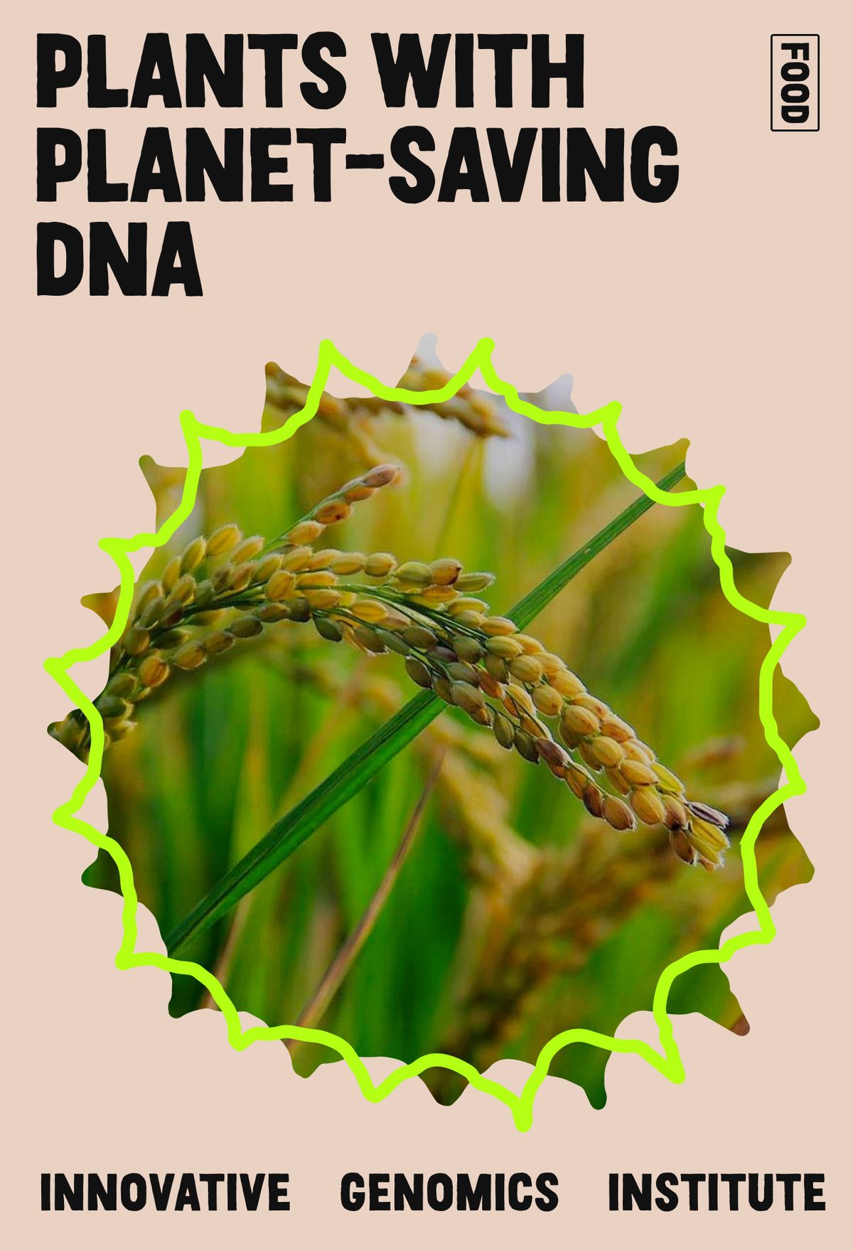 Genomics Institute: plants with planet-saving DNA. Inset closeup image of rice plant.