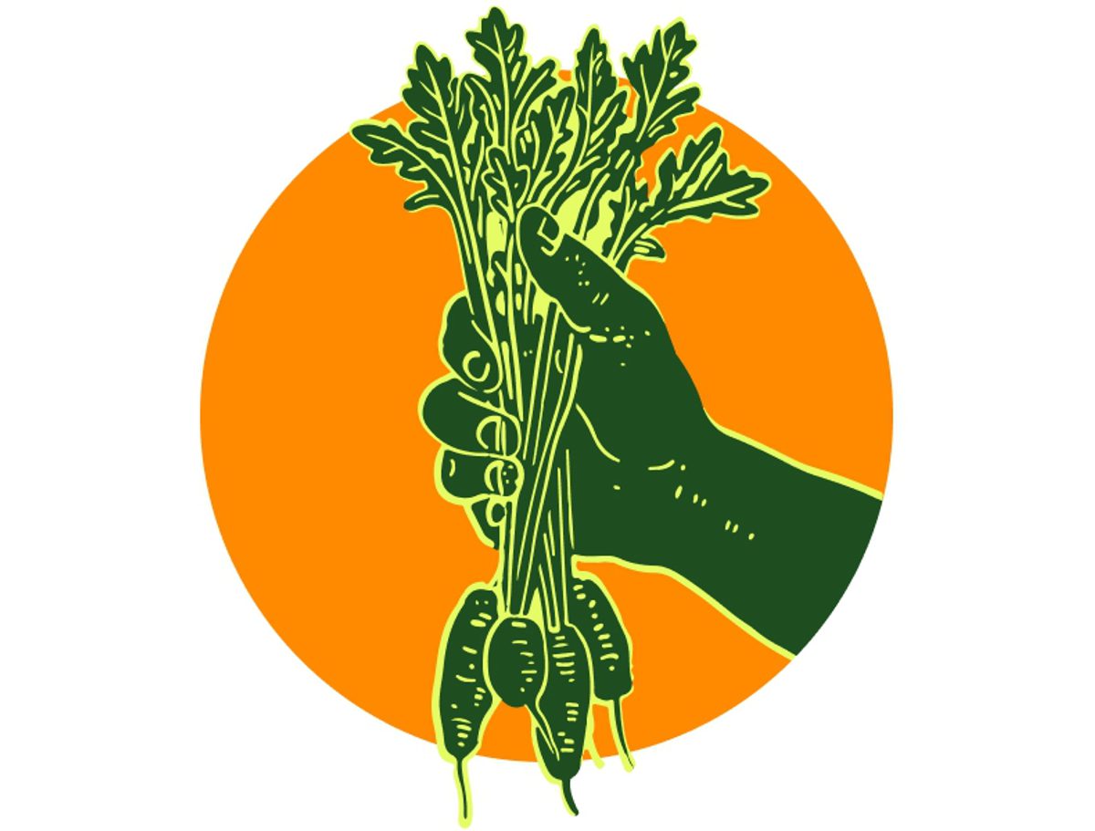 About food circle