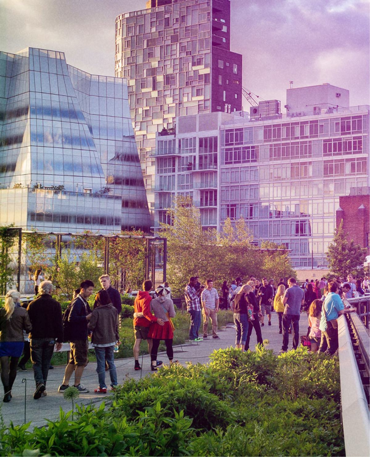 View from the High Line in NYC