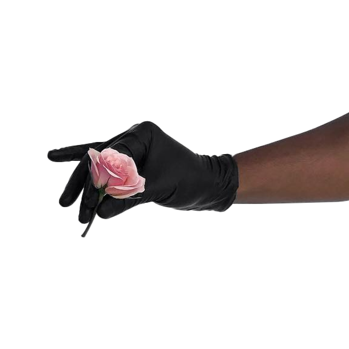 Outstretched arm offering a pink rose