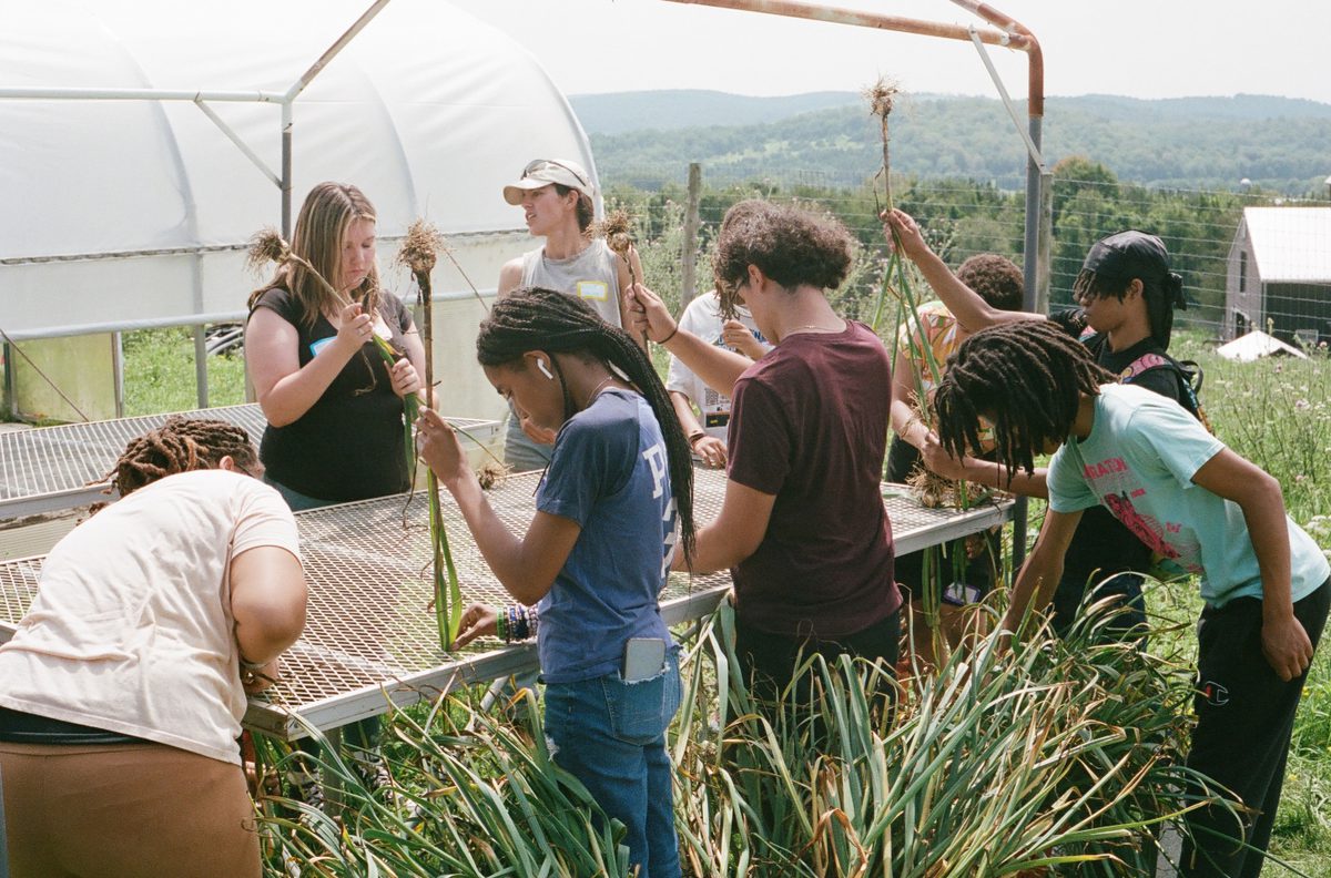 Image of people working on a farm.